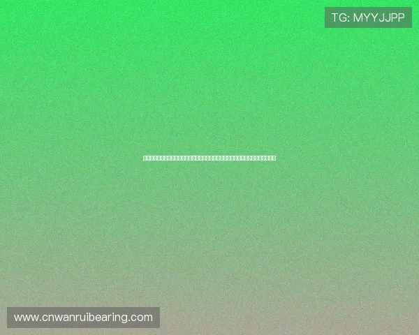 体育彩票怎么买世界杯的票详细流程与注意事项全攻略帮助您轻松购票参加世界杯赛事