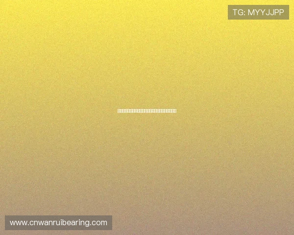 星空棋牌电脑版助力世界杯期间线上娱乐体验全面升级 星空棋牌电脑版助力世界杯期间线上娱乐体验全面升级